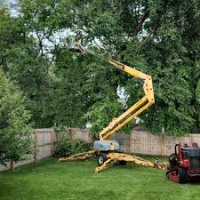 Best Tree Trimming and Pruning  in Jenks, OK