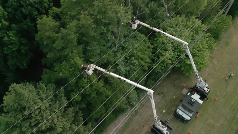 Best Storm Damage Tree Cleanup  in Jenks, OK